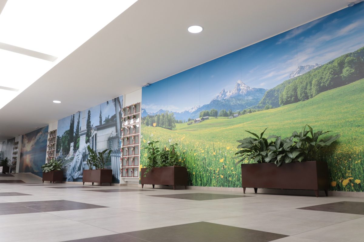 ¿YA CONOCES LA NUEVA GALERIA EL CARMEN?